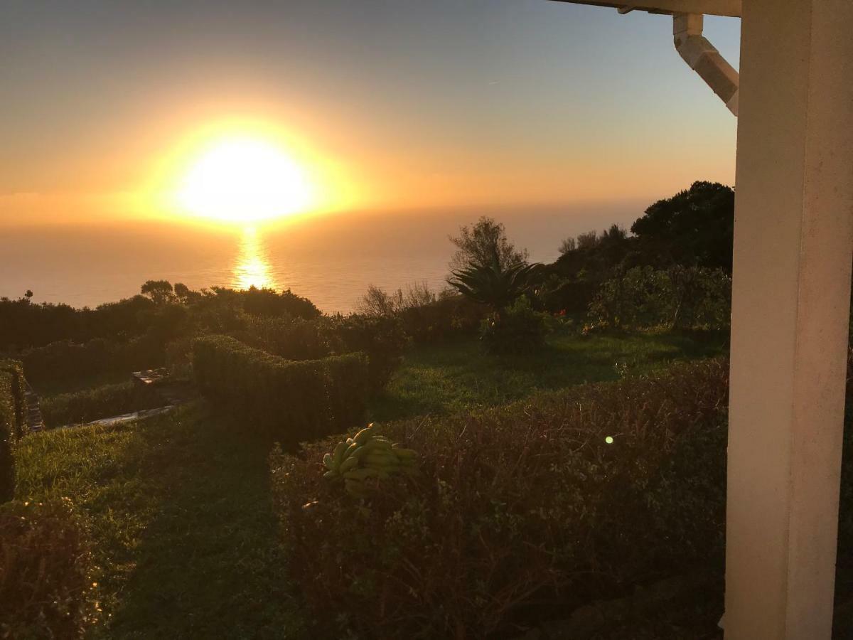 Villa Ferreirinha Санта-Круш-даш-Флориш Экстерьер фото